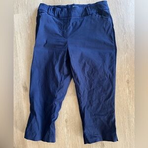 Reitmans capri pants